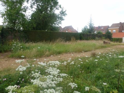 Vente terrain à Sin-le-Noble - Ref.SIN1283 - Image 1