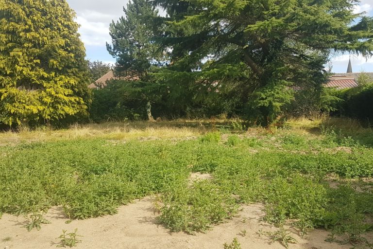 Vente terrain à Bois-Bernard - Ref.HEN1534 - Image 1
