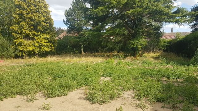 Vente terrain à Bois-Bernard - Ref.HEN1534 - Image 1