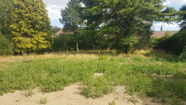 Vente terrain à Bois-Bernard - Ref.HEN1534