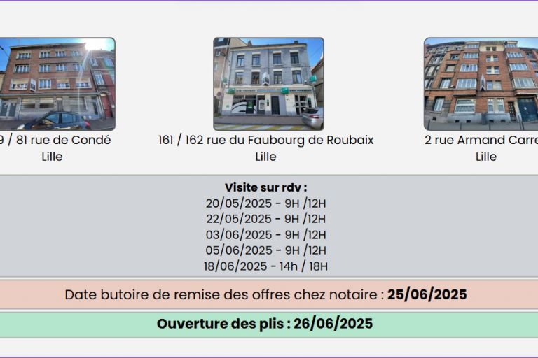 Vente immeuble à Lille - Ref.FLCLIL-56 - Image 6