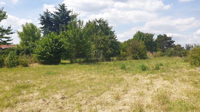 Vente maison à Hénin-Beaumont - Ref.GDHEN1935 - Image 4