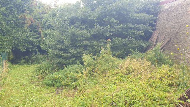 Vente maison à Noyelles-Godault - Ref.GDHEN1960 - Image 3