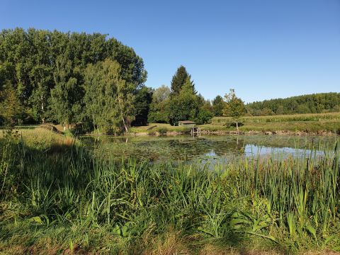 Vente terrain à Wandignies-Hamage - Ref.LHSOM2445BIS - Image 3
