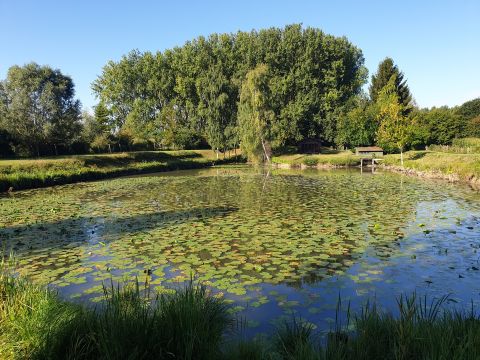 Vente terrain à Wandignies-Hamage - Ref.LHSOM2445BIS - Image 1