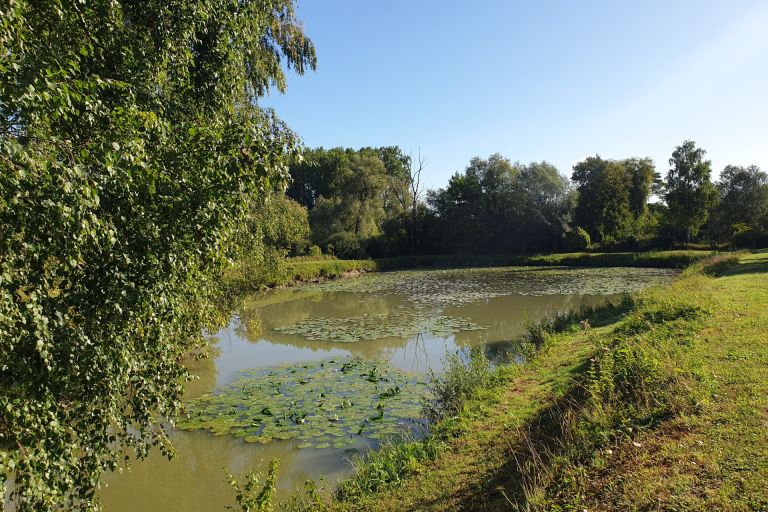 Vente terrain à Wandignies-Hamage - Ref.LHSOM2445BIS - Image 4
