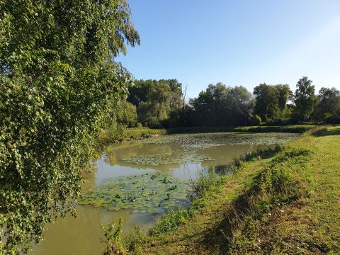 Vente terrain à Wandignies-Hamage - Ref.LHSOM2445BIS - Image 4