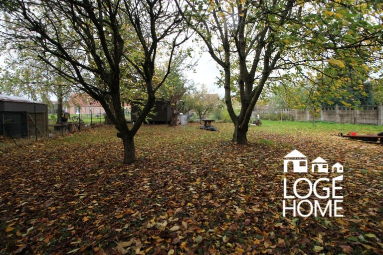 Vente maison à Fenain - Ref.nssom2458 - Image 7