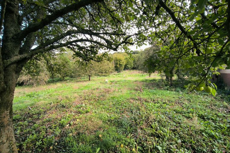 Vente terrain à Maisnil-lès-Ruitz - Ref.CRBLB577 - Image 1