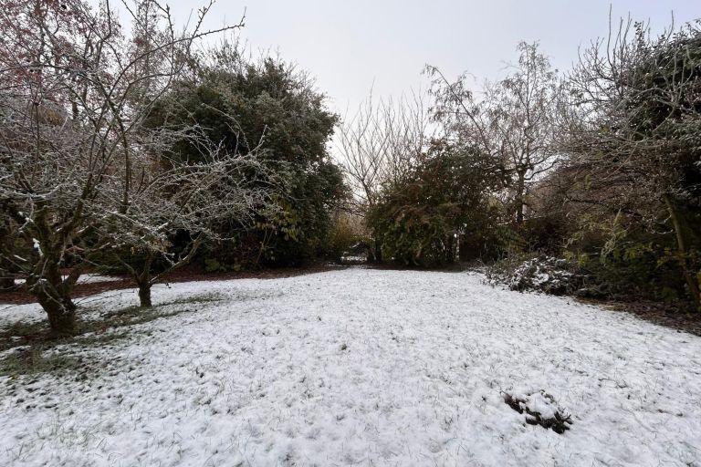 Vente terrain à Willems - Ref.ALHEM38 - Image 1