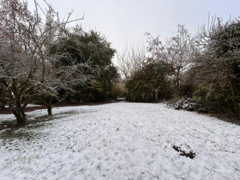 Vente terrain à Willems - Ref.ALHEM38 - Image 1