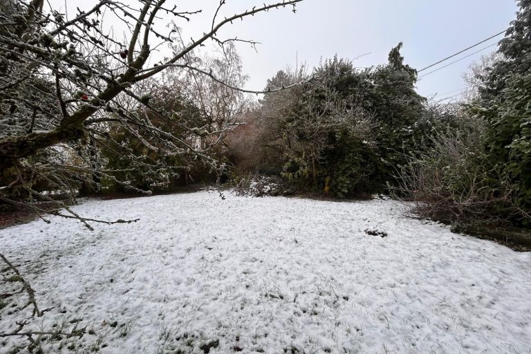 Vente terrain à Willems - Ref.ALHEM38 - Image 2